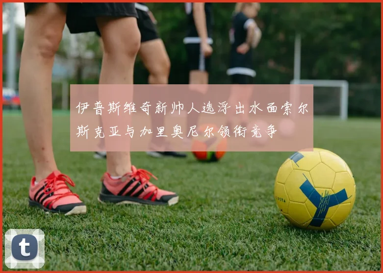 伊普斯维奇新帅人选浮出水面索尔斯克亚与加里奥尼尔领衔竞争